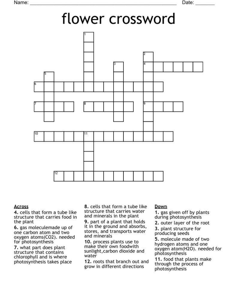 25 Fall Blooming Plant Crossword DerrickCaara