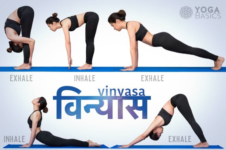 29 Vinyasa Series ASANAS