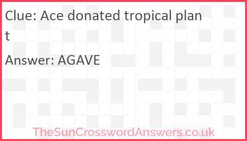 Ace Donated Tropical Plant Crossword Clue TheSunCrosswordAnswers co uk