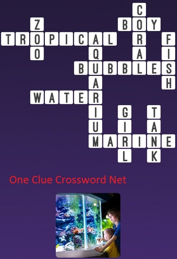 Aquarium Get Answers For One Clue Crossword Now