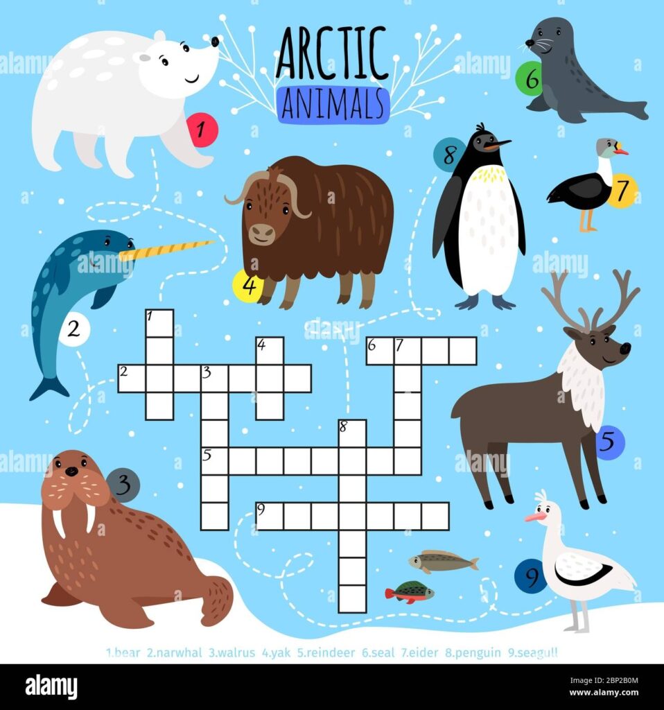 Arctic Crossword Puzzle Kids Words Cross Word Searching Game With 