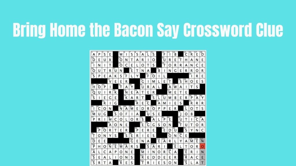 Bring Home The Bacon Say Crossword Clue Answered 