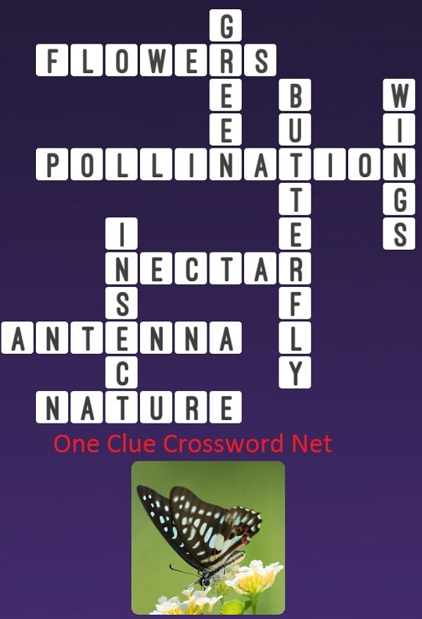 Butterfly Get Answers For One Clue Crossword Now