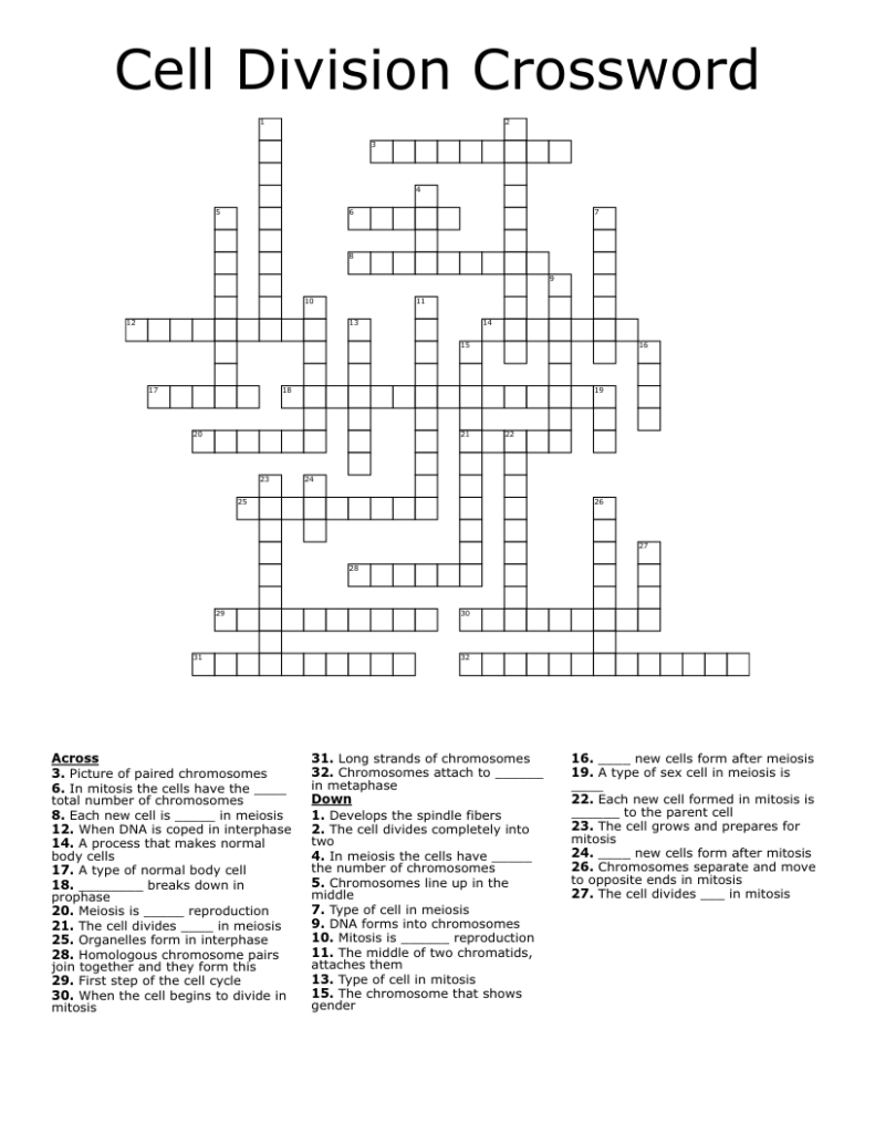 Cell Division Crossword WordMint