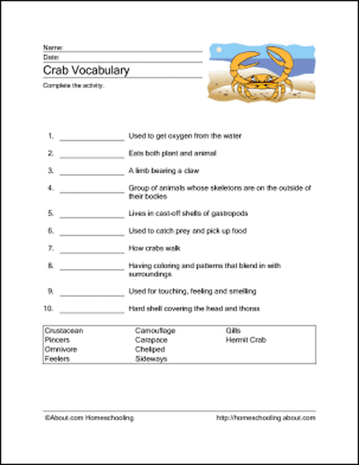 Crab Wordsearch Vocabulary Crossword And More Vocabulary Crab 