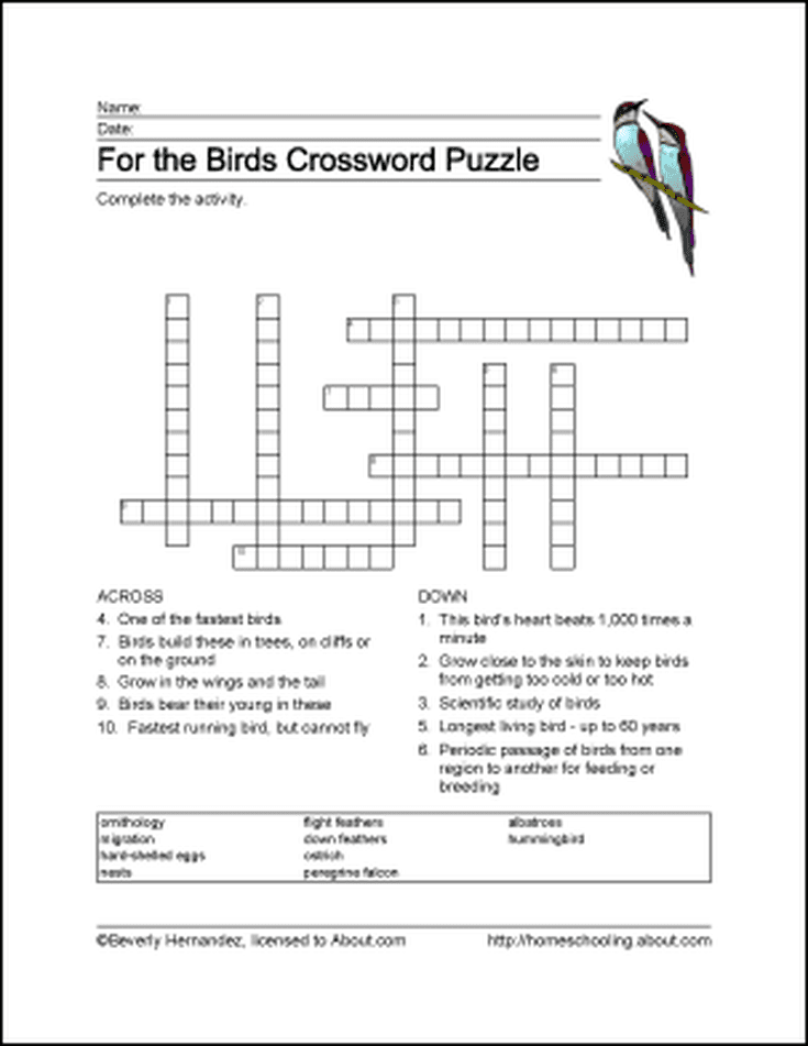 Crossword Clue Black Bird