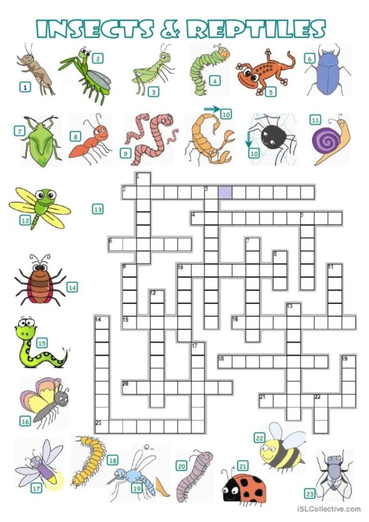 CROSSWORD INSECTS AND REPTILE English ESL Worksheets Pdf Doc