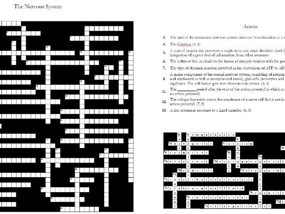 Crossword Network Of Nerves