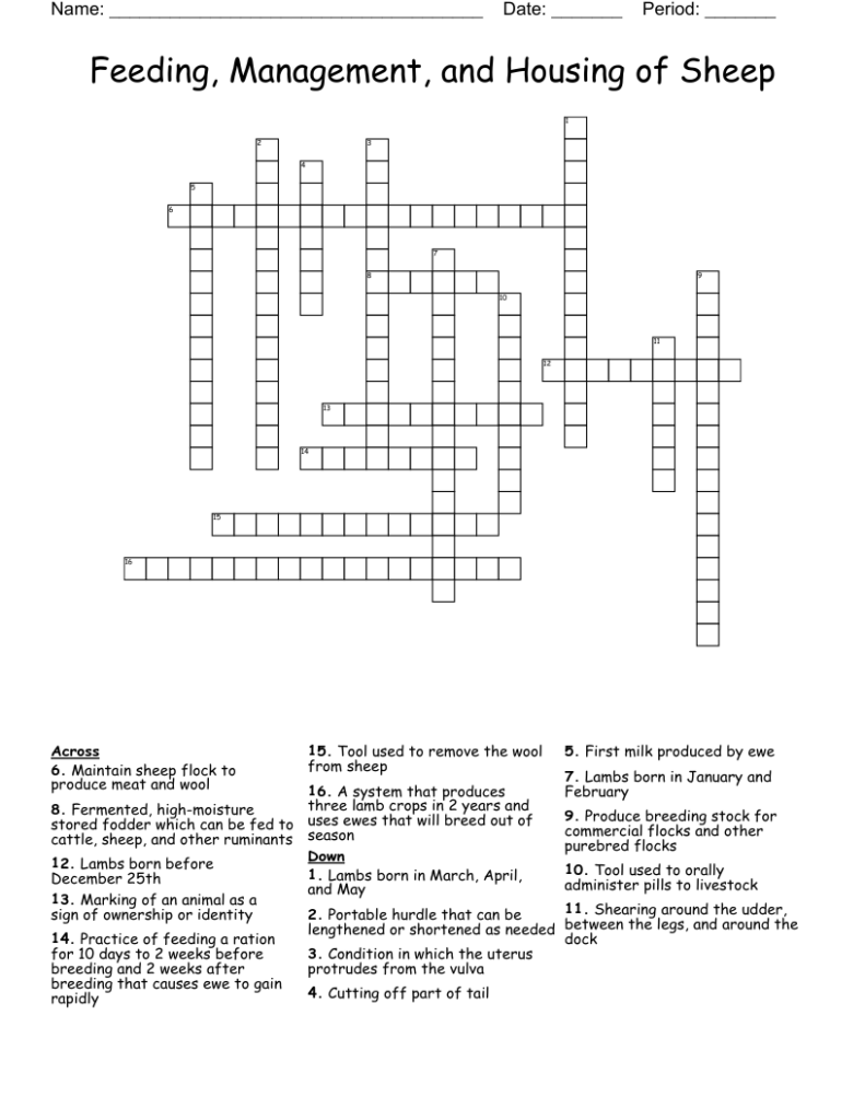 Feeding Management And Housing Of Sheep Crossword WordMint