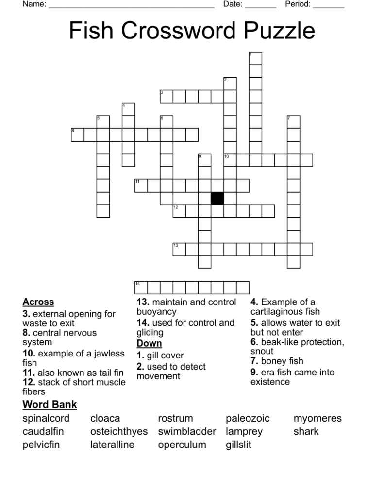 Fish Crossword Puzzle WordMint