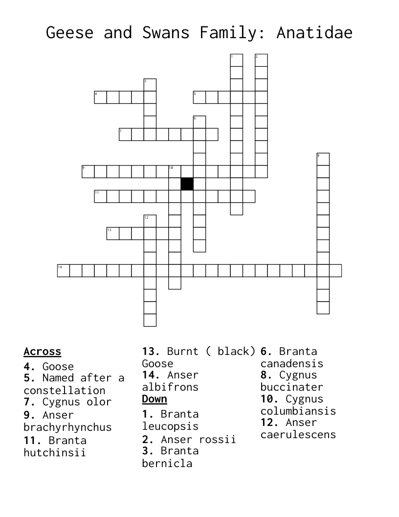 Geese And Swans Family Anatidae Crossword WordMint