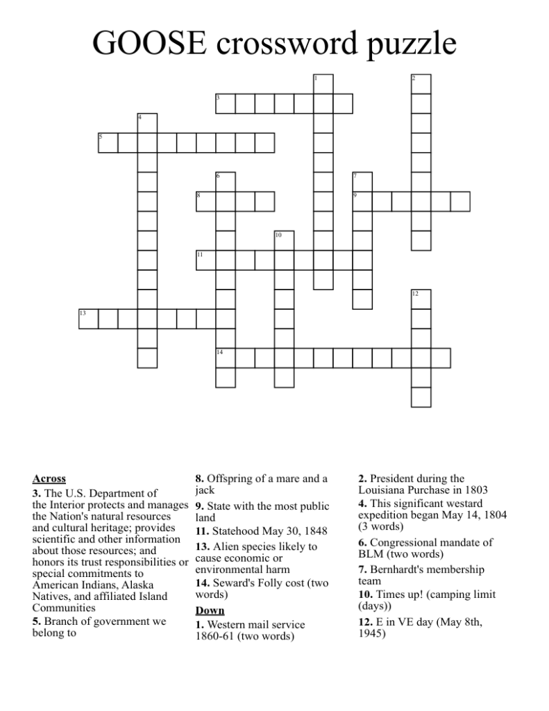 GOOSE Crossword Puzzle WordMint