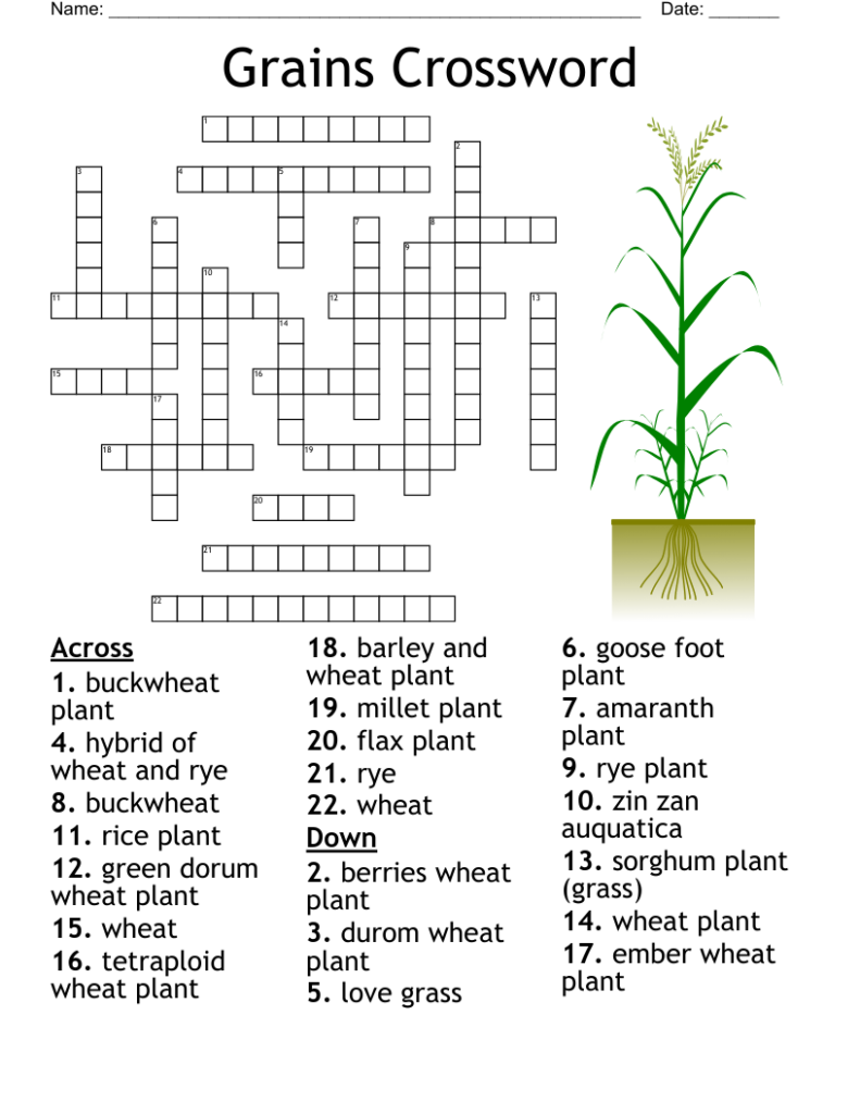 Grain Bristles Nyt Crossword Prntbl concejomunicipaldechinu gov co