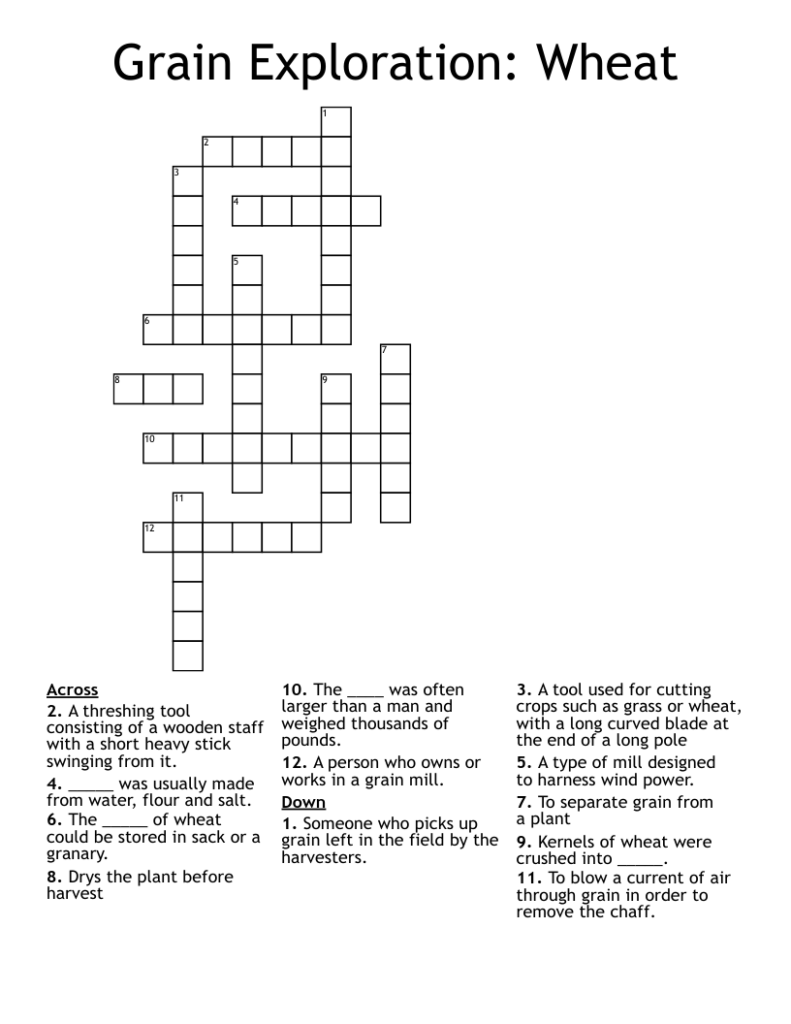 Grain Exploration Wheat Crossword WordMint