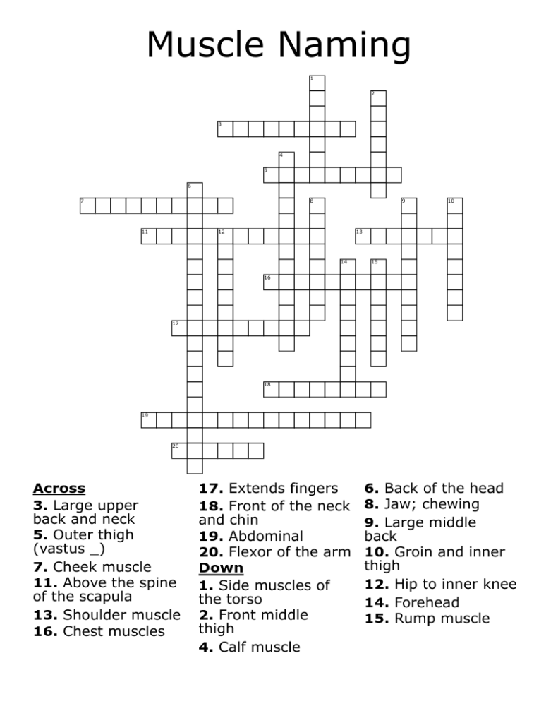 Having Muscle Pain Crossword