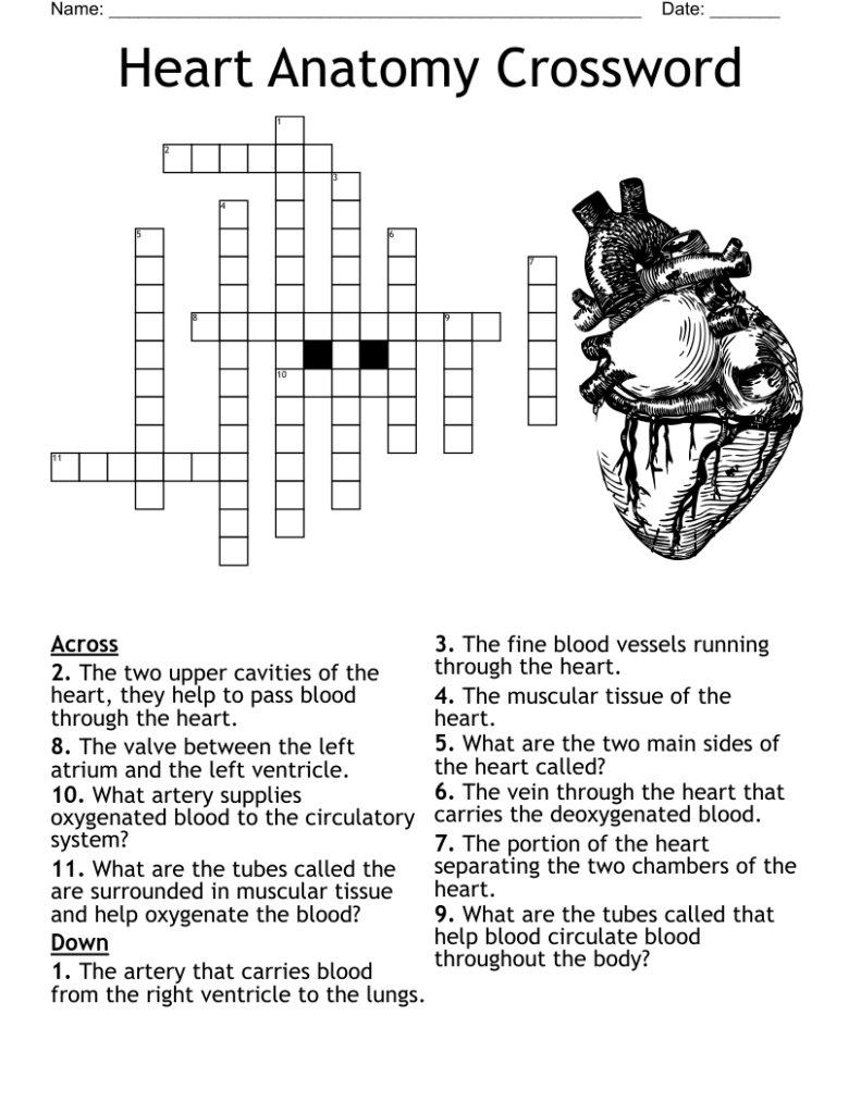 Heart Crossword Puzzle Printables