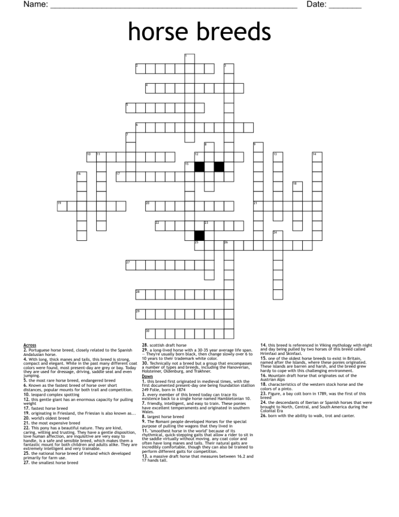 Horse Breeds Crossword WordMint