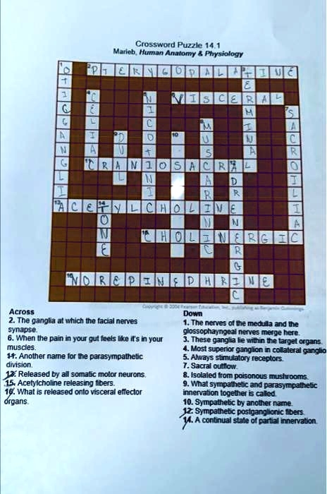 I ve Gotten All But Number 10 I Can t Find It Anywhere Crossword 