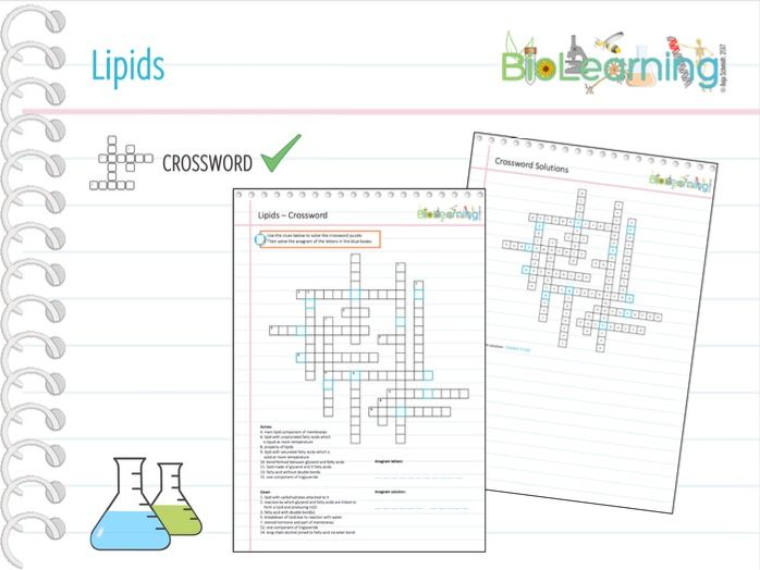 Lipids Crossword KS5 Teaching Resources