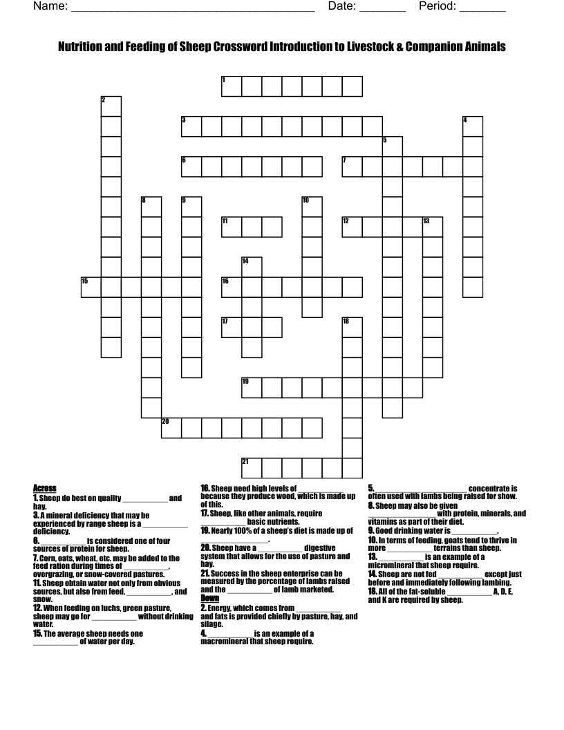 Nutrition And Feeding Of Sheep Crossword Introduction To Livestock