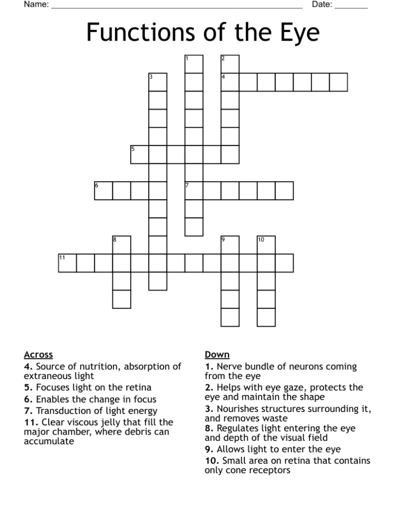 Outer Layer Of The Eye Crossword