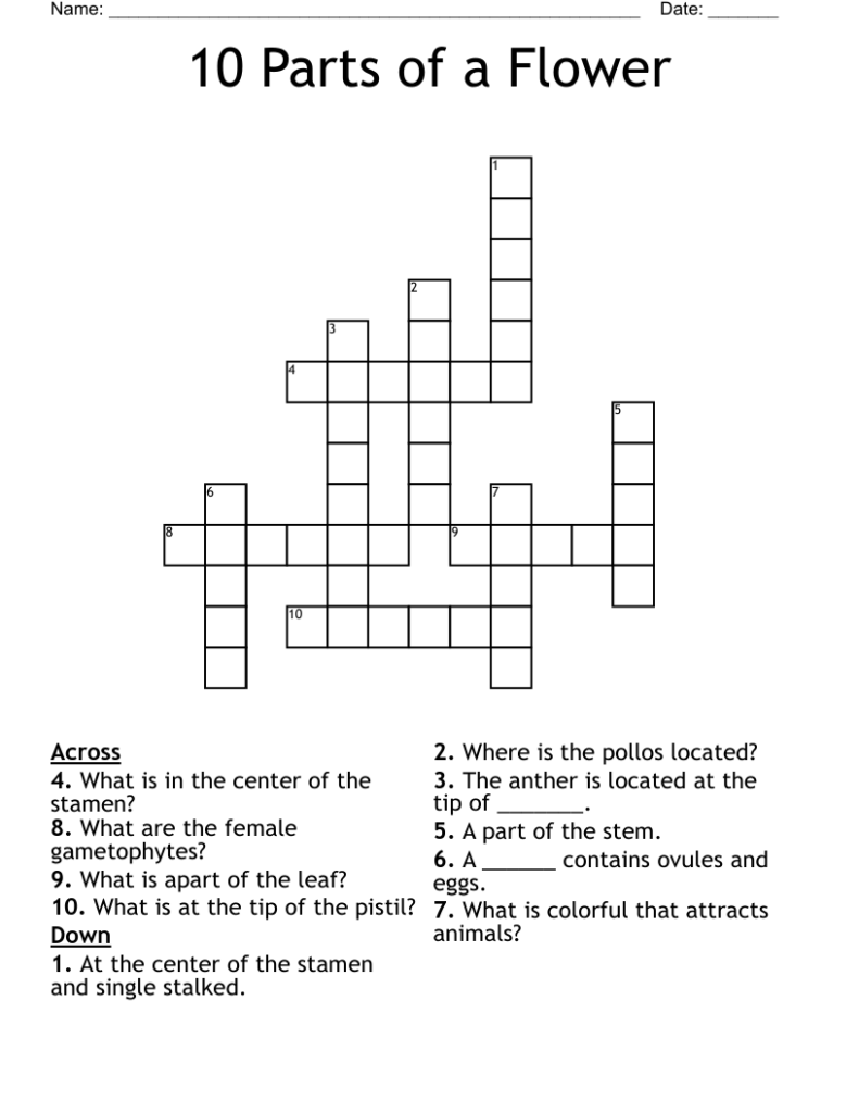 Parts Of A Flower Crossword