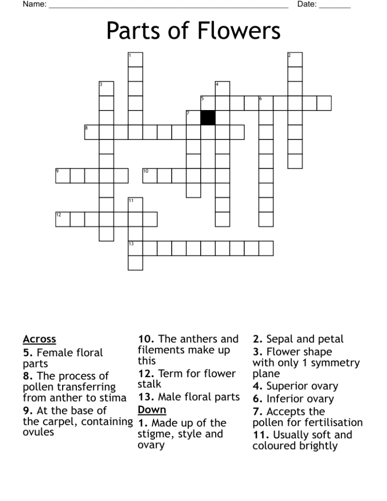 Parts Of A Flower Crossword