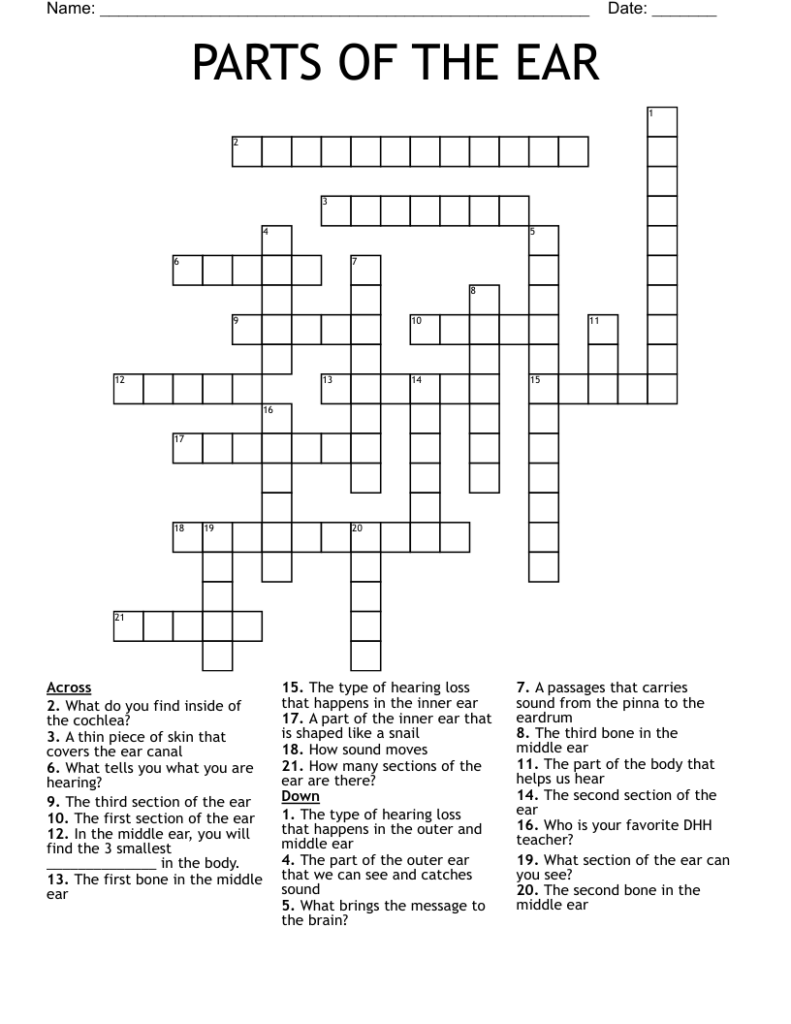 PARTS OF THE EAR Crossword WordMint