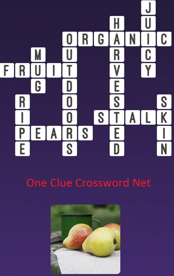 Pears Get Answers For One Clue Crossword Now