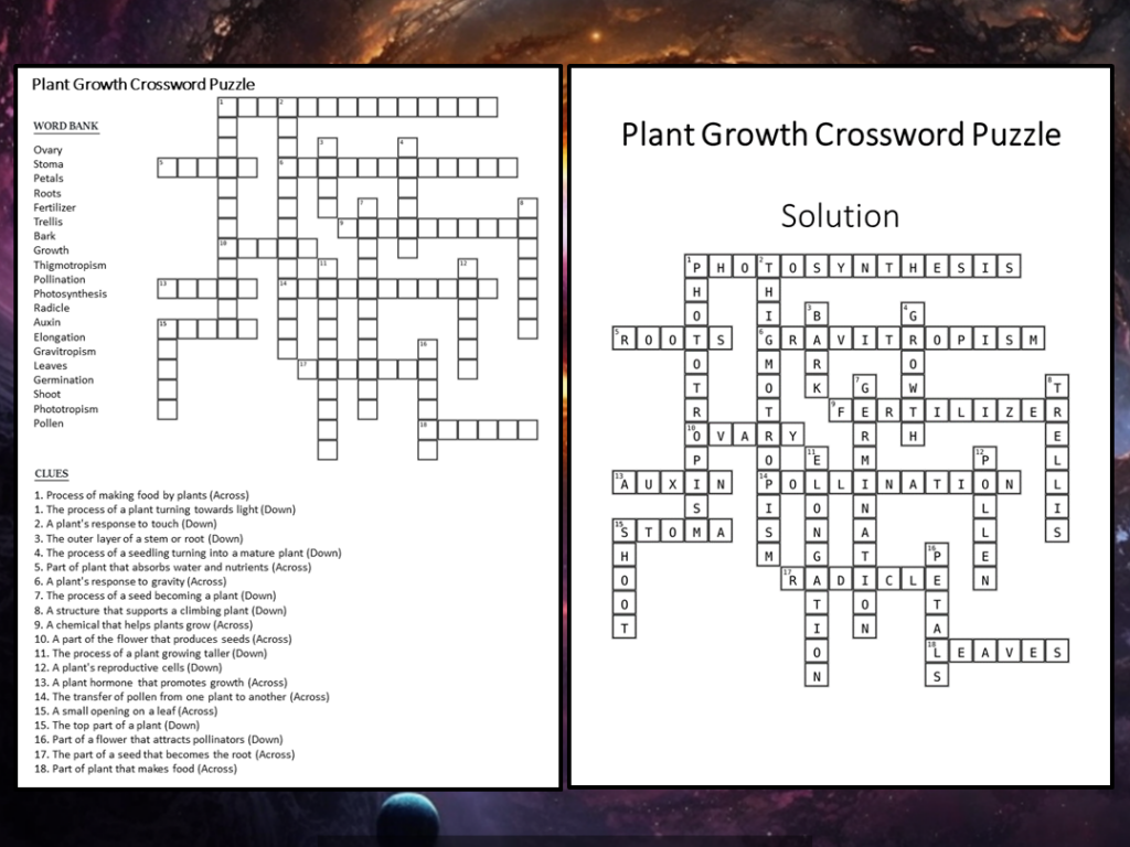 Plant Growth Crossword Puzzle Worksheet Activity Teaching Resources