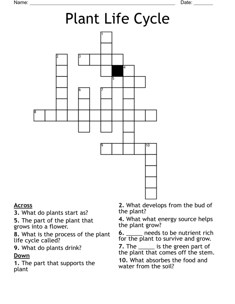 Plant Life Cycle Crossword WordMint