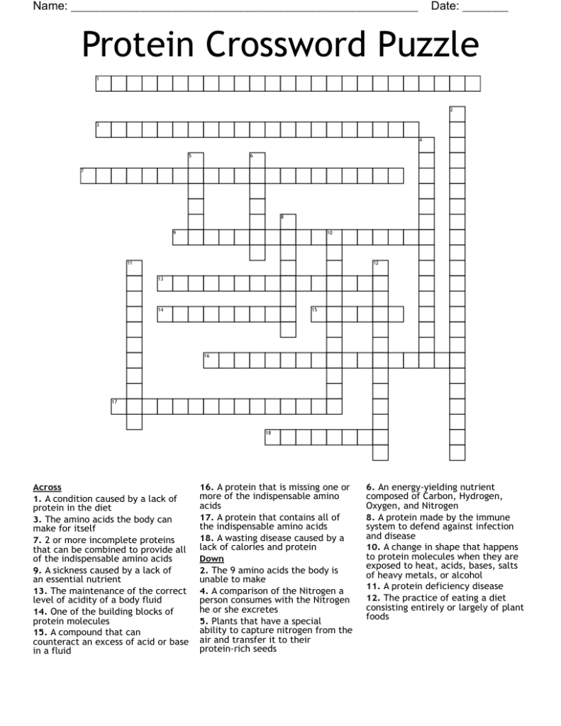 Protein Crossword Puzzle WordMint