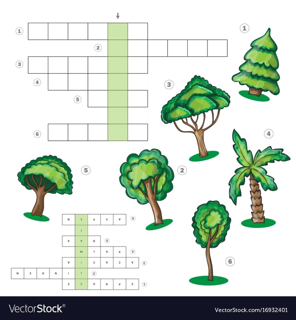 Puzzle Kids Activity Sheet Crossword With Trees Vector Image