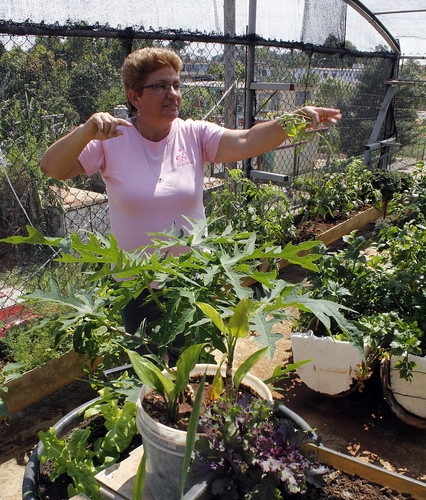 Researcher Mar a Ben tez Is Now Working With Arugula A Sa Flickr