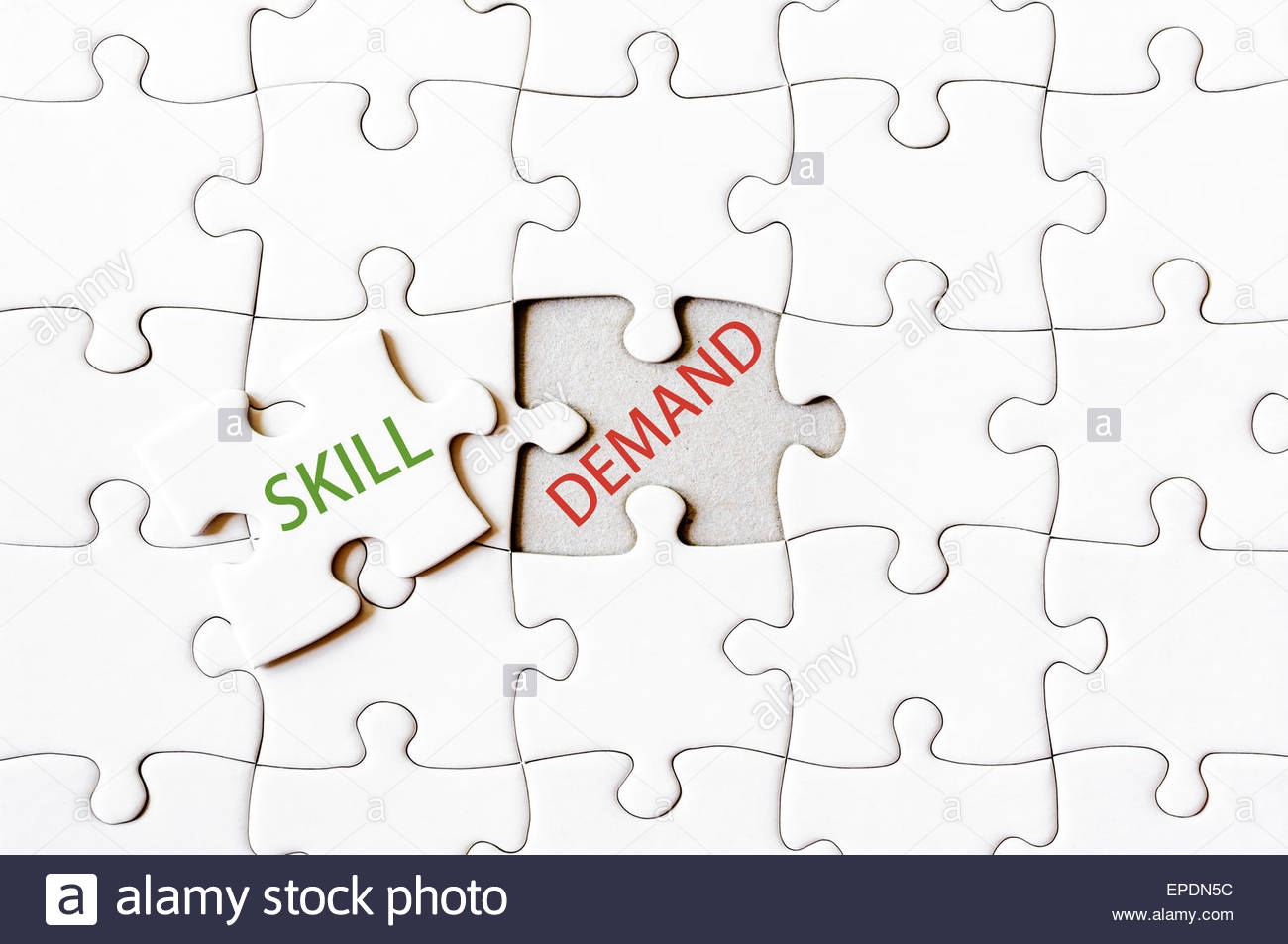 Skill Puzzle Fasrselect