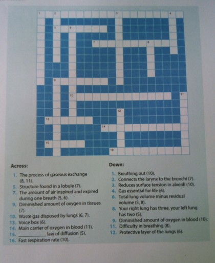 Solved E Across 1 The Process Of Gaseous Exchange 811 Chegg