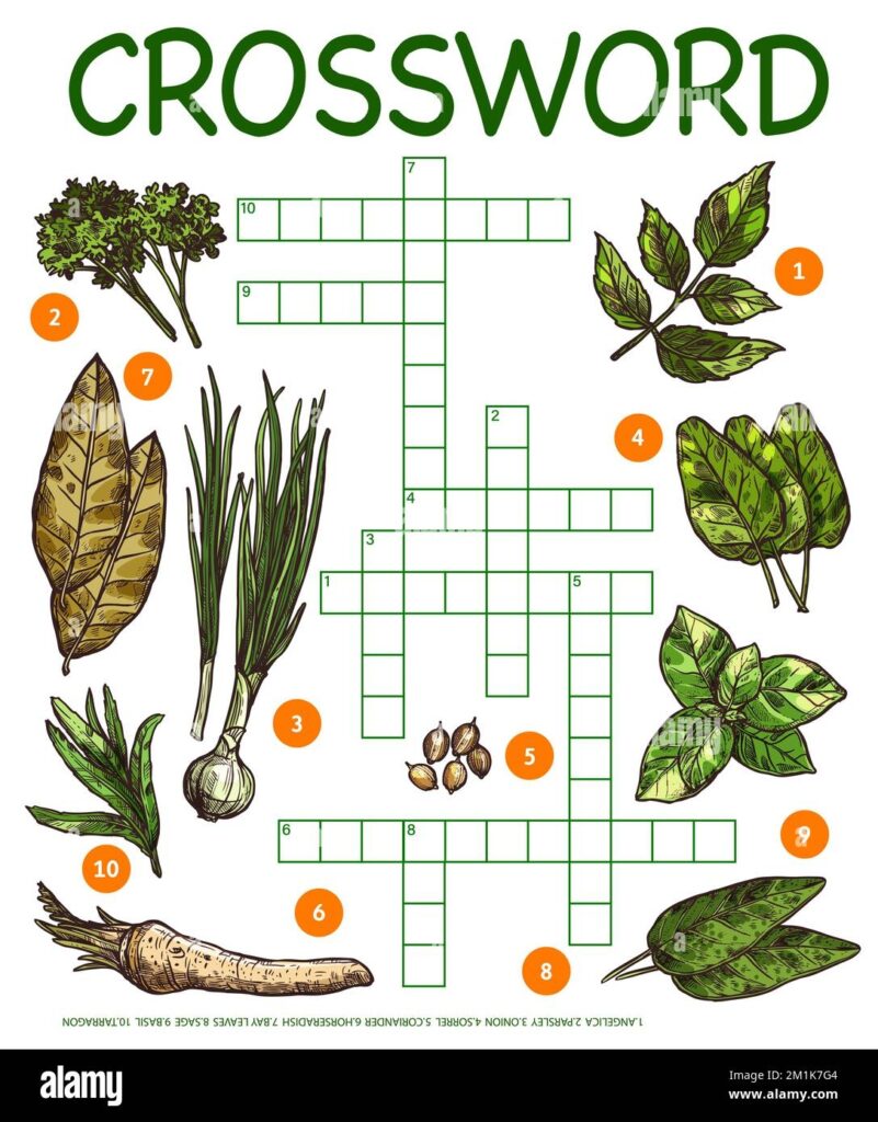 Spices Herbs And Seasonings Sketch Crossword Grid Worksheet Vector 