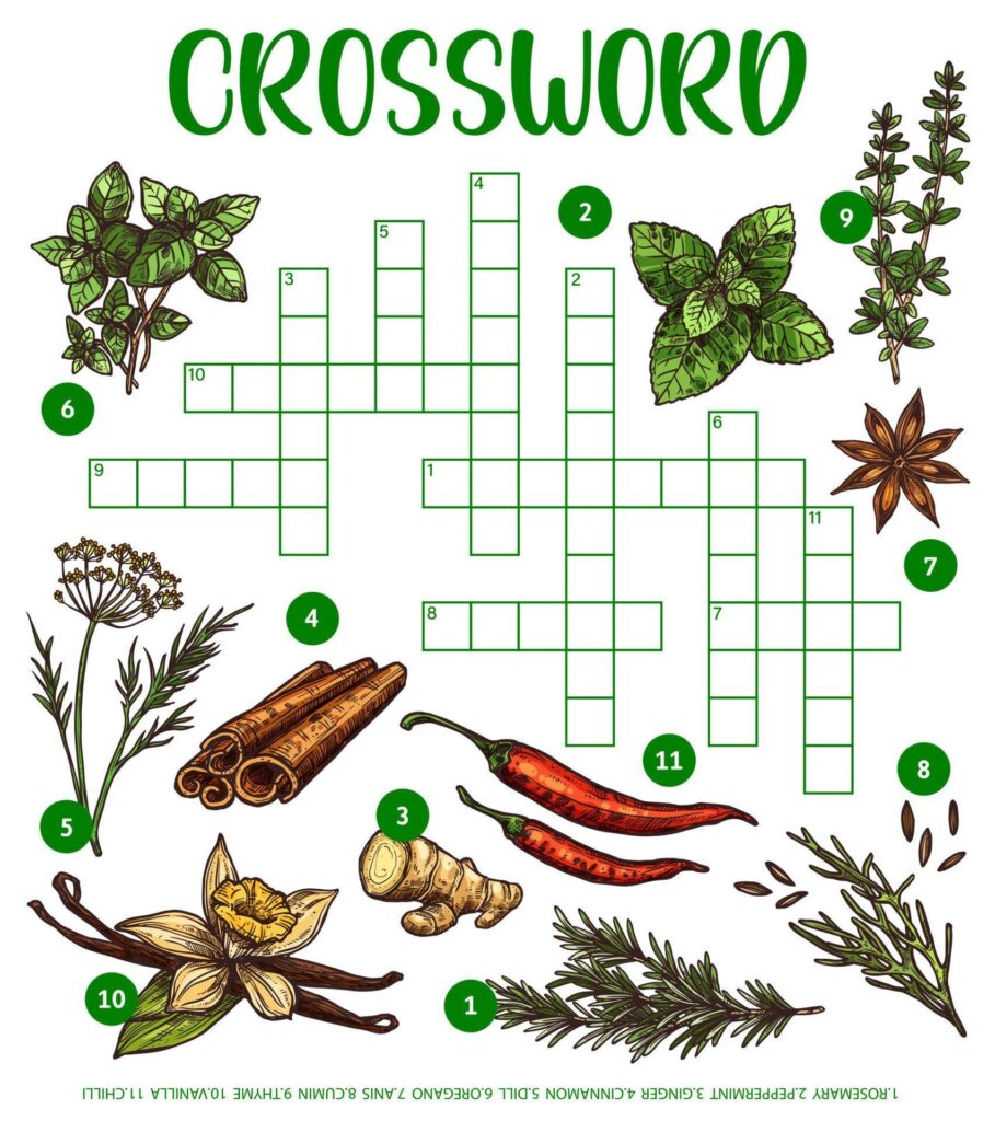 Spices Herbs Or Seasonings Sketch Crossword Grid 22794806 Vector Art 