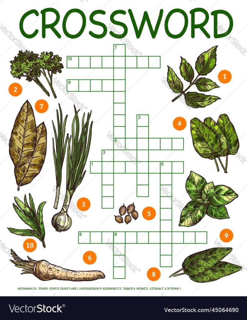 Spices Herbs Seasonings Sketch Crossword Game Vector Image