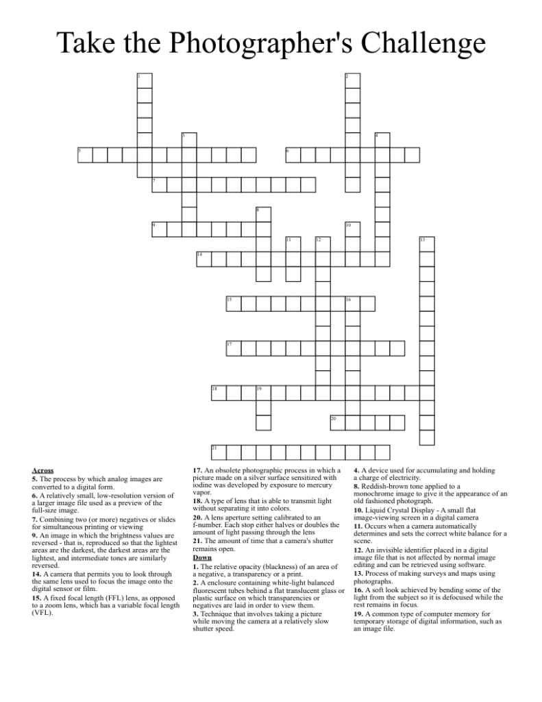 Take The Photographer s Challenge Crossword WordMint