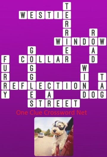 Terrier Get Answers For One Clue Crossword Now