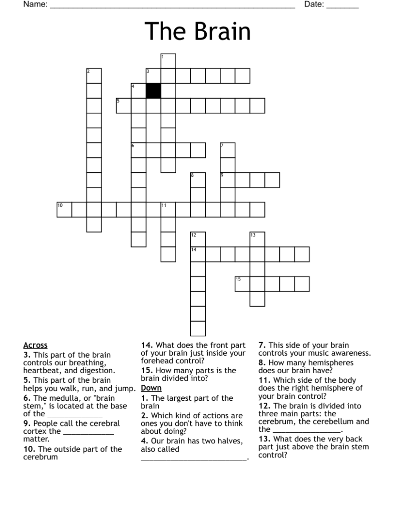 The Brain Crossword WordMint