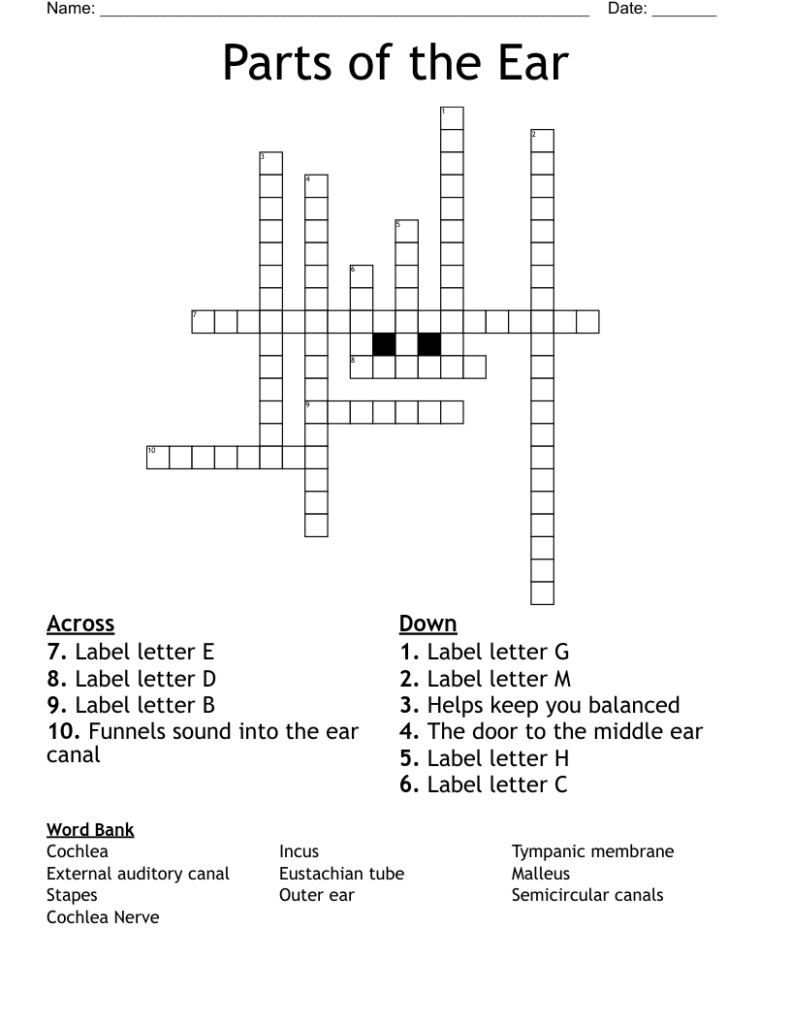 The Ear Crossword WordMint