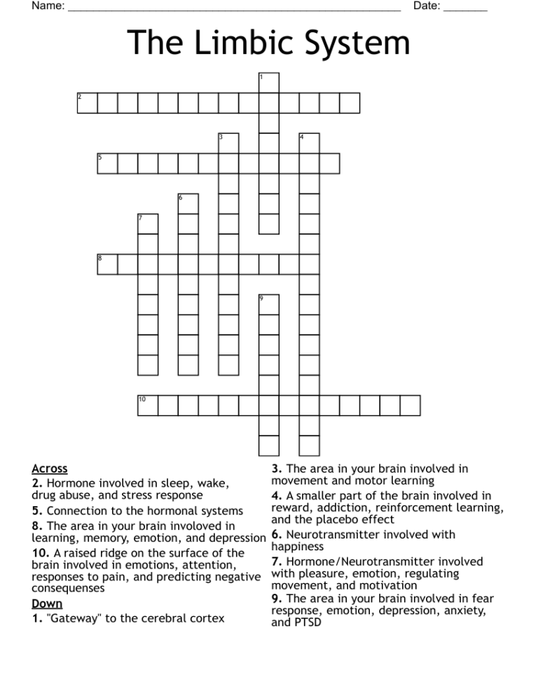 The Limbic System Crossword WordMint