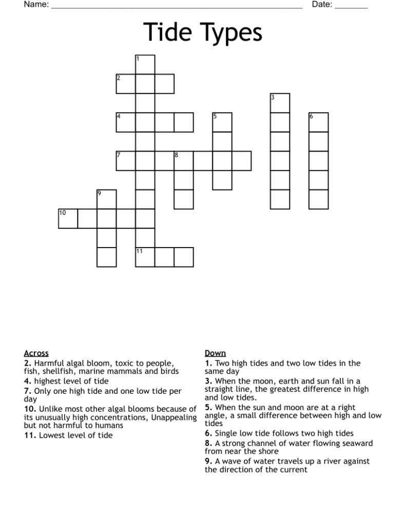 Tide Types Crossword WordMint