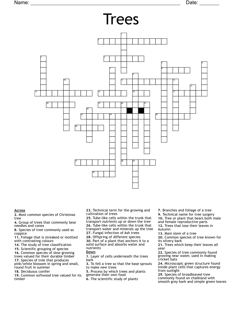 Trees Crossword WordMint