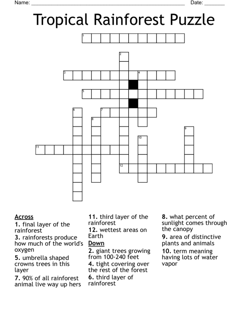 Tropical Rainforest Puzzle Crossword WordMint