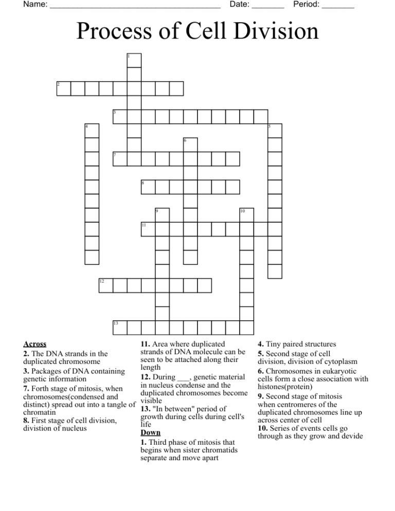 Type Of Cell Division Crossword Puzzle Clue