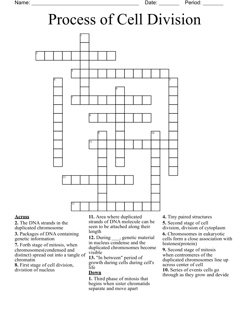 Type Of Cell Division Crossword Puzzle Clue