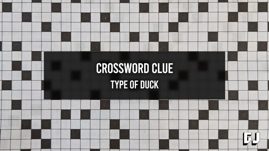 Type Of Duck Crossword Clue Gamer Journalist